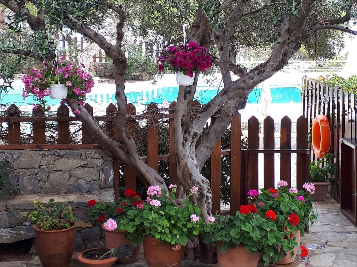 Ferma Solaris Apartments Agia Fotia  Buitenkant foto