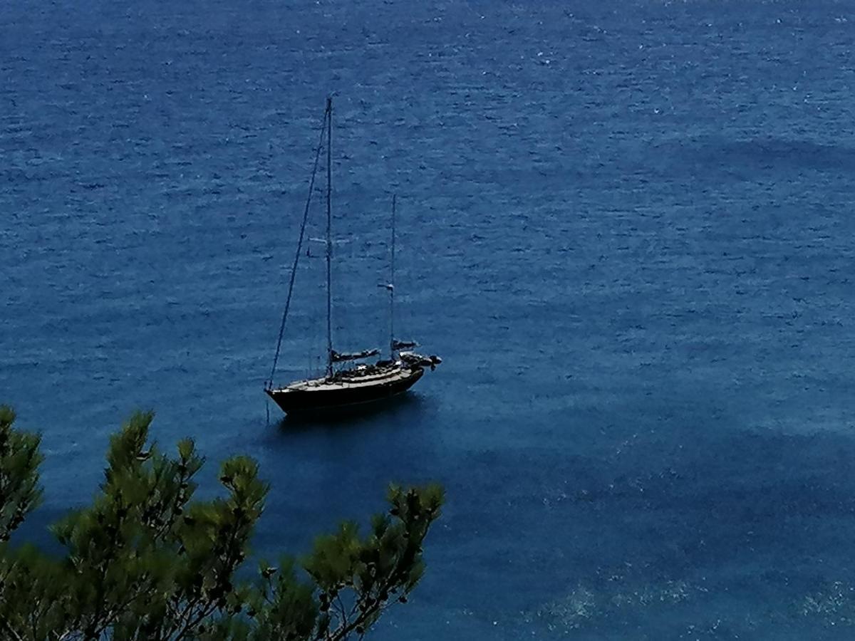 Ferma Solaris Apartments Agia Fotia  Buitenkant foto