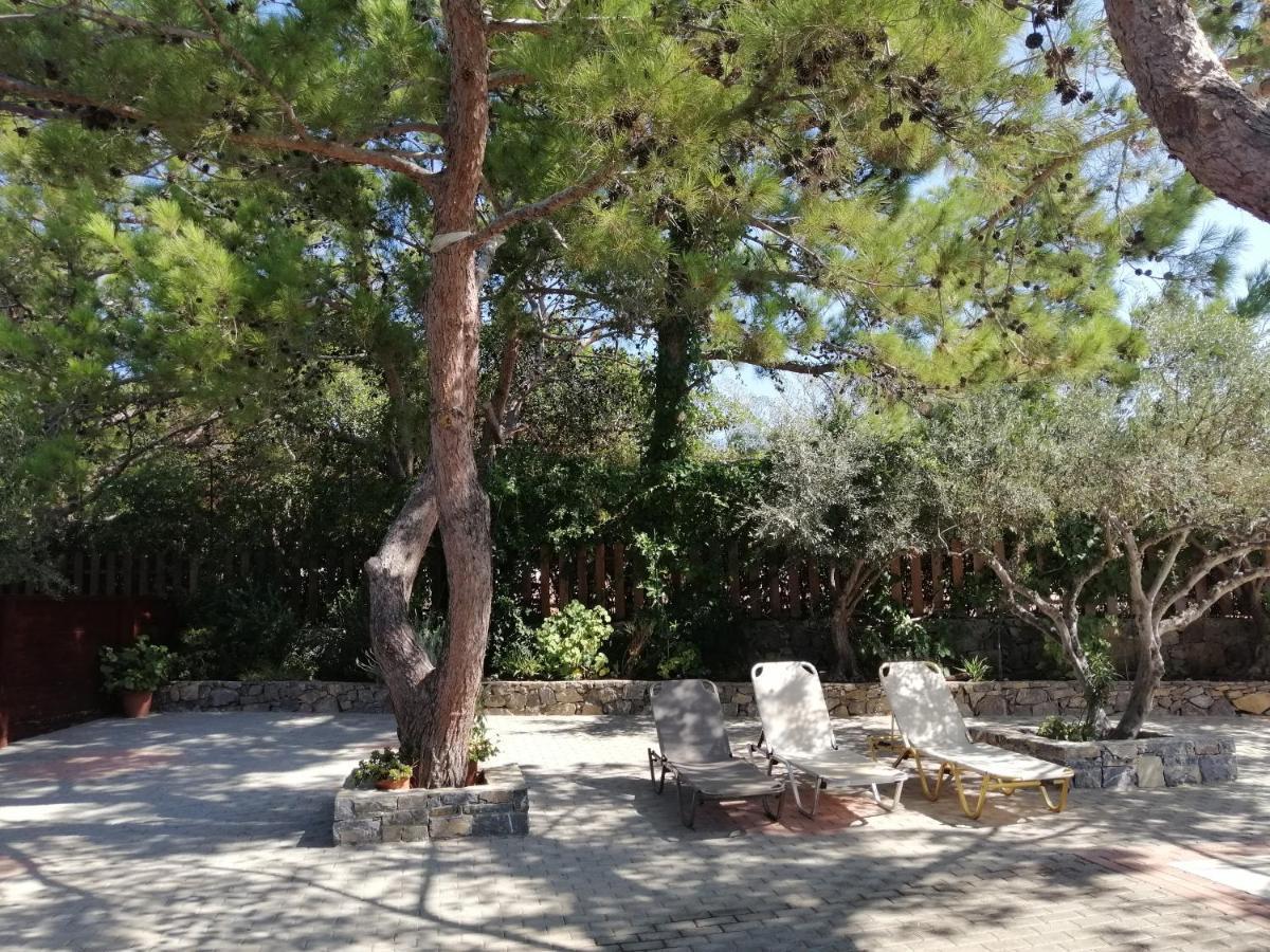 Ferma Solaris Apartments Agia Fotia  Buitenkant foto