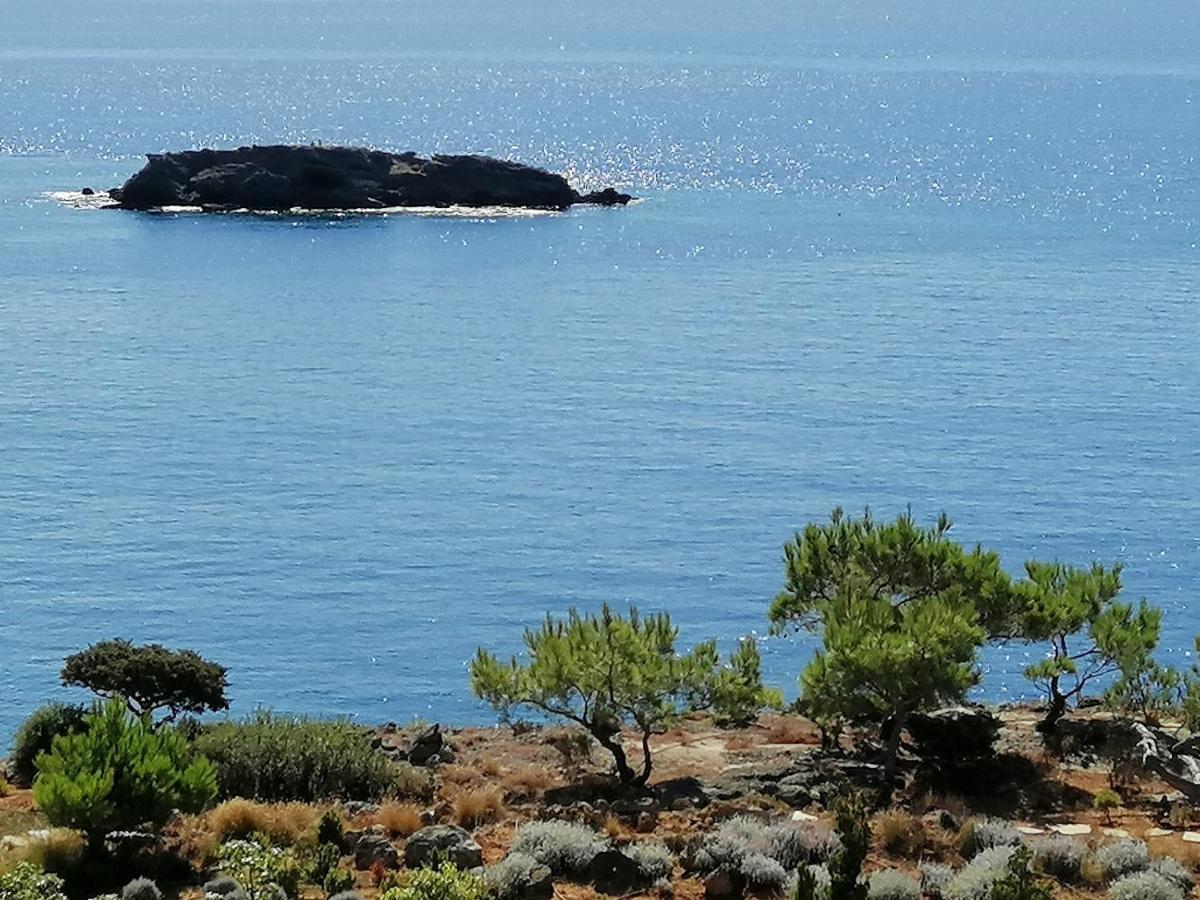 Ferma Solaris Apartments Agia Fotia  Buitenkant foto